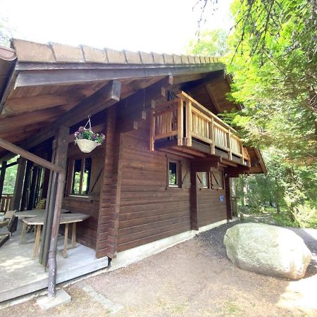 Le Renard Chalet En Bois Ла Брес Екстериор снимка